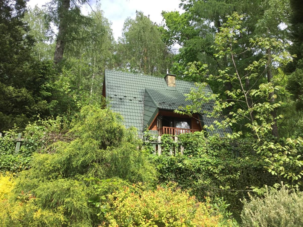 Domek W Lesie Leki  Экстерьер фото